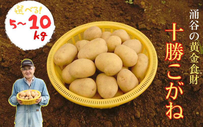 
            涌谷の黄金食財じゃがいも 「十勝こがね」5kg
          