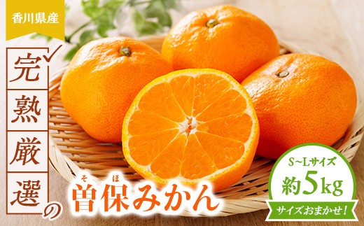 完熟厳選の曽保みかん約5kg FAH-0139