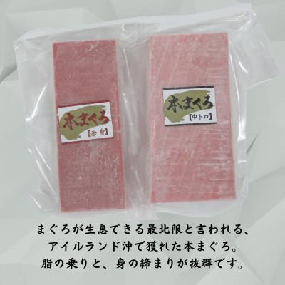 ふるさと納税 三浦市 神奈川県漁連　天然本マグロ　中トロ・赤身セット |  | 01