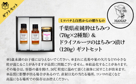 W01-041 【化粧箱入り／熨斗・リボン対応】美と健康ギフトセット（純粋はちみつ70ｇ×2種＆ドライフルーツはちみつ漬け）