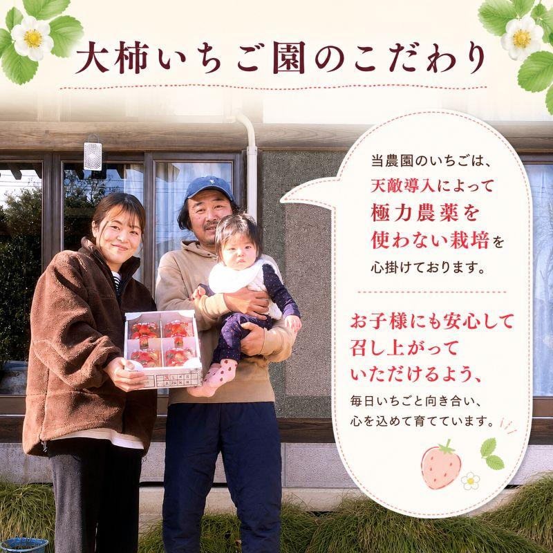 やさしさ仕立ての とちあいか 300g×4P 【2027年先行予約】 栃木県 矢板市