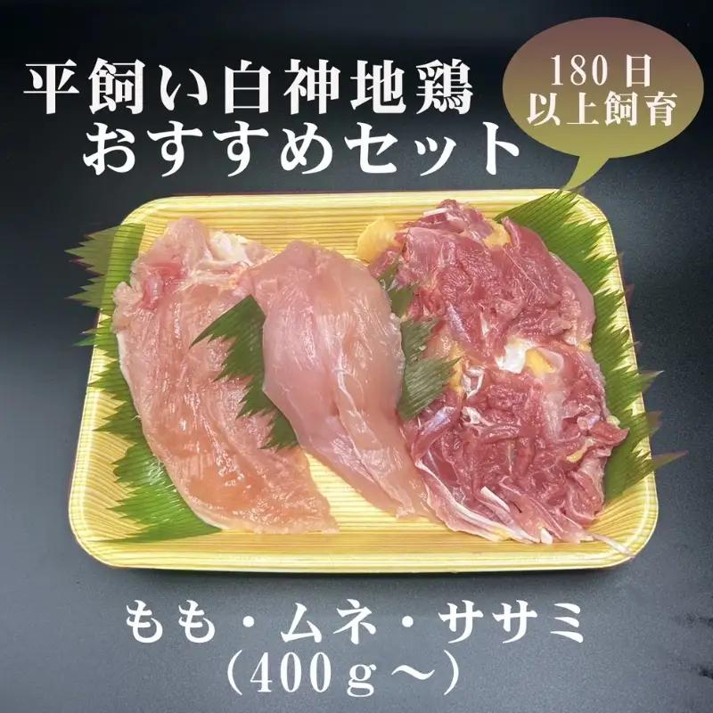 数量限定 白神地鶏 約400g～ 1パック 鶏肉 地鶏 国産鶏肉