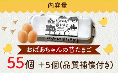 ばあちゃんの昔たまご 55個+5個（品質補償付き） / 佐賀県 / 素ヱコ農園 [41AEAA003]