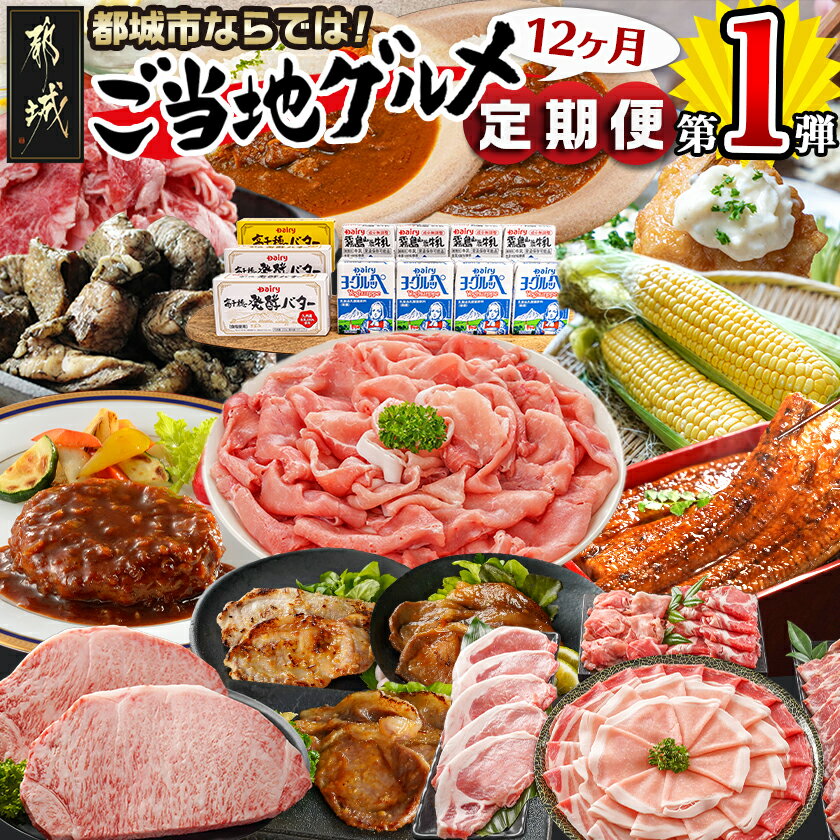 【ふるさと納税】【セレクト定期便】第1弾☆都城市ご当地グルメ定期便(12ヶ月)≪2026年お届け≫ - 宮崎牛 ブランド豚 チキン南蛮 カレー スイーツ スイートコーン炭火焼 期間限定 年末定期便 送料無料 T156-MY01 【宮崎県都城市は2年連続ふるさと納税日本一！】