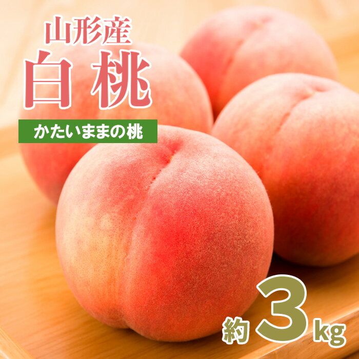 【ふるさと納税】パリっとおどろき食感！山形産もも 3kg(7〜11玉) [硬いままの桃] 【令和7年産先行予約】FU22-787くだもの 果物 フルーツ 山形 山形県 山形市 お取り寄せ 2025年産