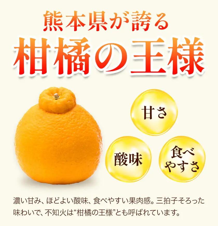不知火 熊本 訳あり 3.5kg 不知火