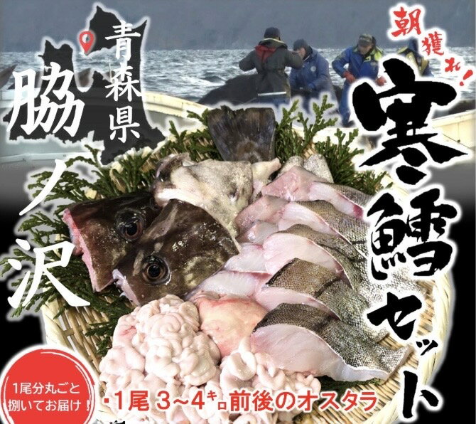 【ふるさと納税】捌いてお届け! 手間いらず！ 青森県むつ市 脇ノ沢産 寒タラ鍋セット 鱈 たら 白子 鮮魚 海鮮 鍋 タラ鍋 新鮮 産地直送 青森県産 むつ市