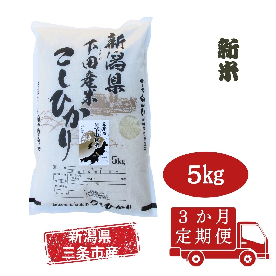 【ふるさと納税】先行予約 [定期便5kg×3か月] 新潟県産 こしひかり 新潟県 三条市 下田産 コシヒカリ 精米 白米 【030S036】
