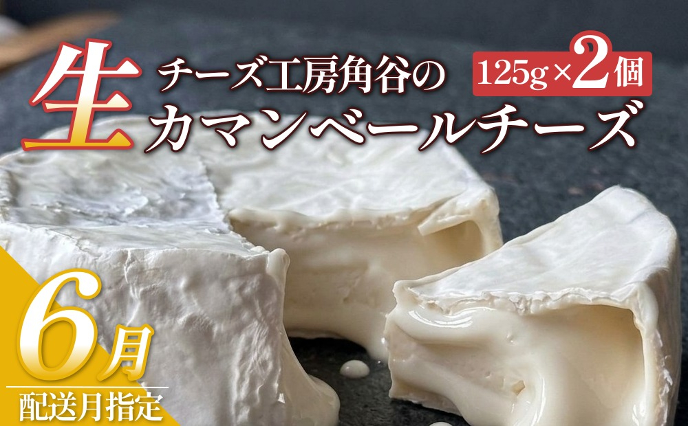 【ふるさと納税】【6月配送】超熟「生」カマンベールチーズ 2個 チーズ工房角谷 KAKUYA カマンベール チーズ ちーず 地元産生乳使用 生乳 手造り クリーミー おつまみ デザート 北海道 安平町