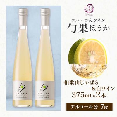 ふるさと納税 湯浅町 ワインカクテル 勹果 ほうか 和歌山じゃばら&白ワイン 7度 375ml 2本 湯浅ワイナリー |  | 03