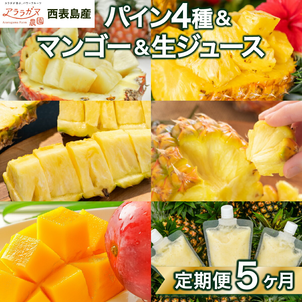 【ふるさと納税】リピート率No1！パイナップル4種類＆マンゴー＆生ジュースを5回にわけて毎月お届け！【パイナップル マンゴー 生ジュース パインジュース 果物 フルーツ 定期便】