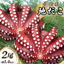 【ふるさと納税】BB044 長崎産 地だこ 2尾（約1.4kg）