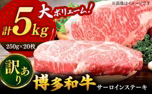 【 訳あり 】 博多和牛 サーロイン ステーキ セット 5kg（250g×20枚）▼ 黒毛和牛 牛肉 焼き肉 焼肉 牛丼 わけあり 訳アリ 桂川町/株式会社 MEAT PLUS[ADAQ028]