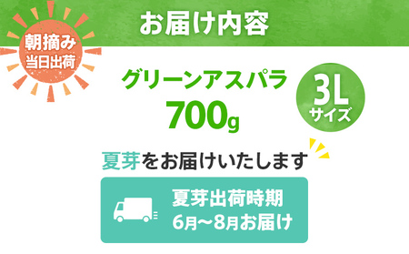 先行予約 アスパラ 3Lサイズ 700g 朝採り 直送 夏芽 グリーンアスパラガス 数量限定 朝採れ 【2026年6月から8月お届け】 BT05