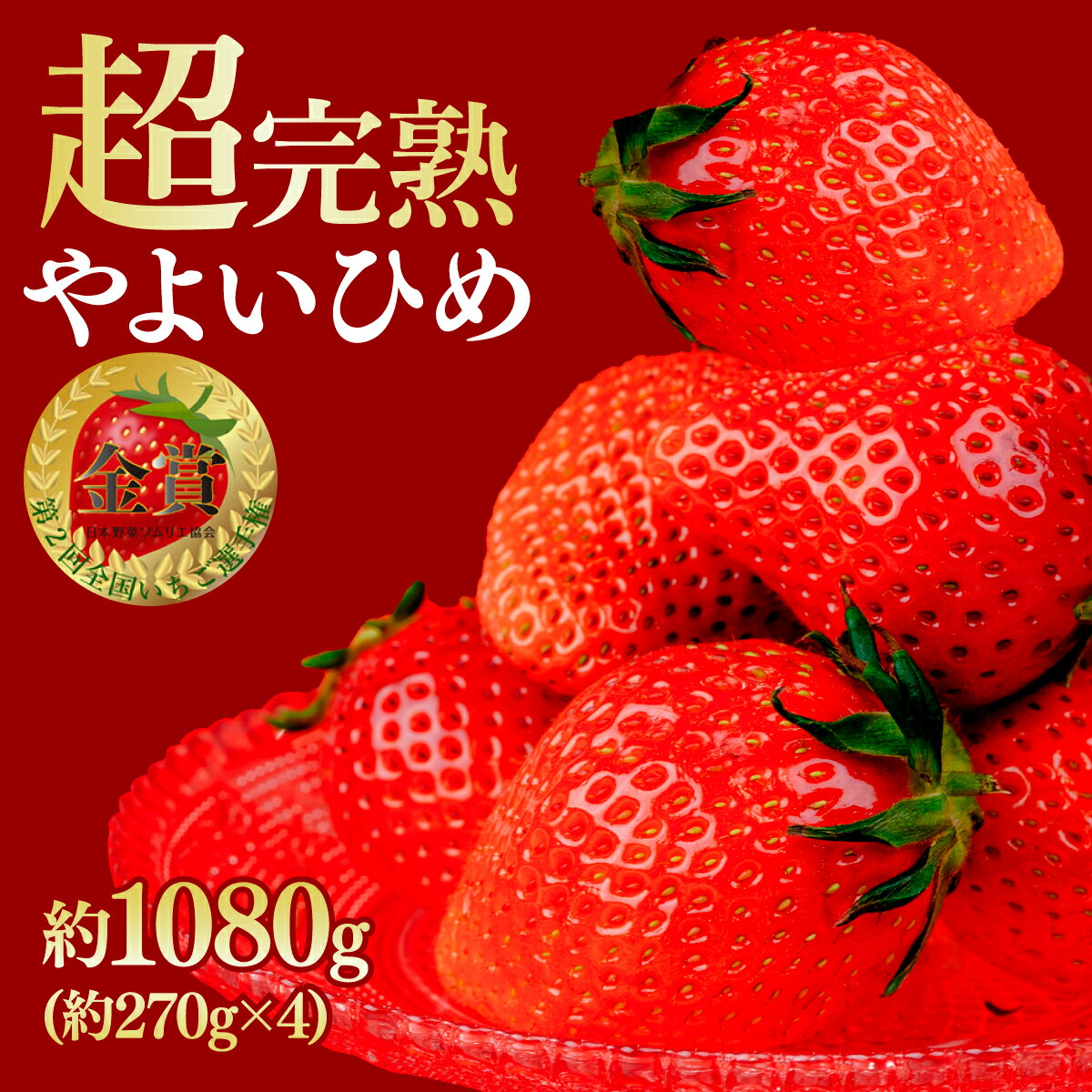 【ふるさと納税】＜2026年先行予約＞いちご 鈴木ファーム厳選＆ 完熟＆ 朝摘み やよいひめ 1080g 選べる発送月 | いちご イチゴ 苺 やよいひめ 完熟 果物 フルーツ 4パック くだもの 旬 産地直送 栃木県産 鈴木いちご園 栃木県 茂木町