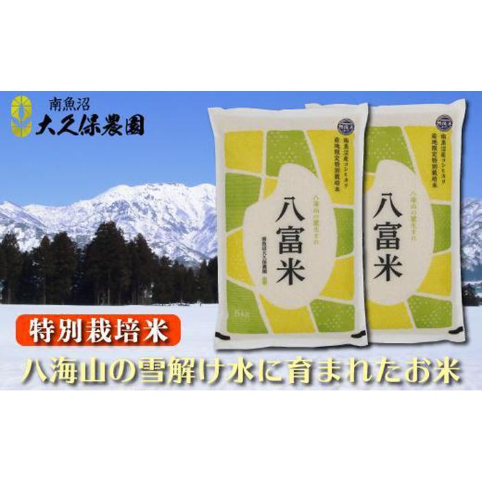 【ふるさと納税】【令和7年産新米】米 無洗米 コシヒカリ 南魚沼産 10kg ( 5kg × 2袋 ) 八富米 農薬7割減 特別栽培米 | お米 こめ 白米 コシヒカリ 食品 人気 おすすめ 送料無料 魚沼 南魚沼