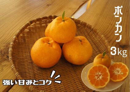 【先行予約＿2026年出荷分】湯の花　ポンカン3kg　【 ポンカン 柑橘 】