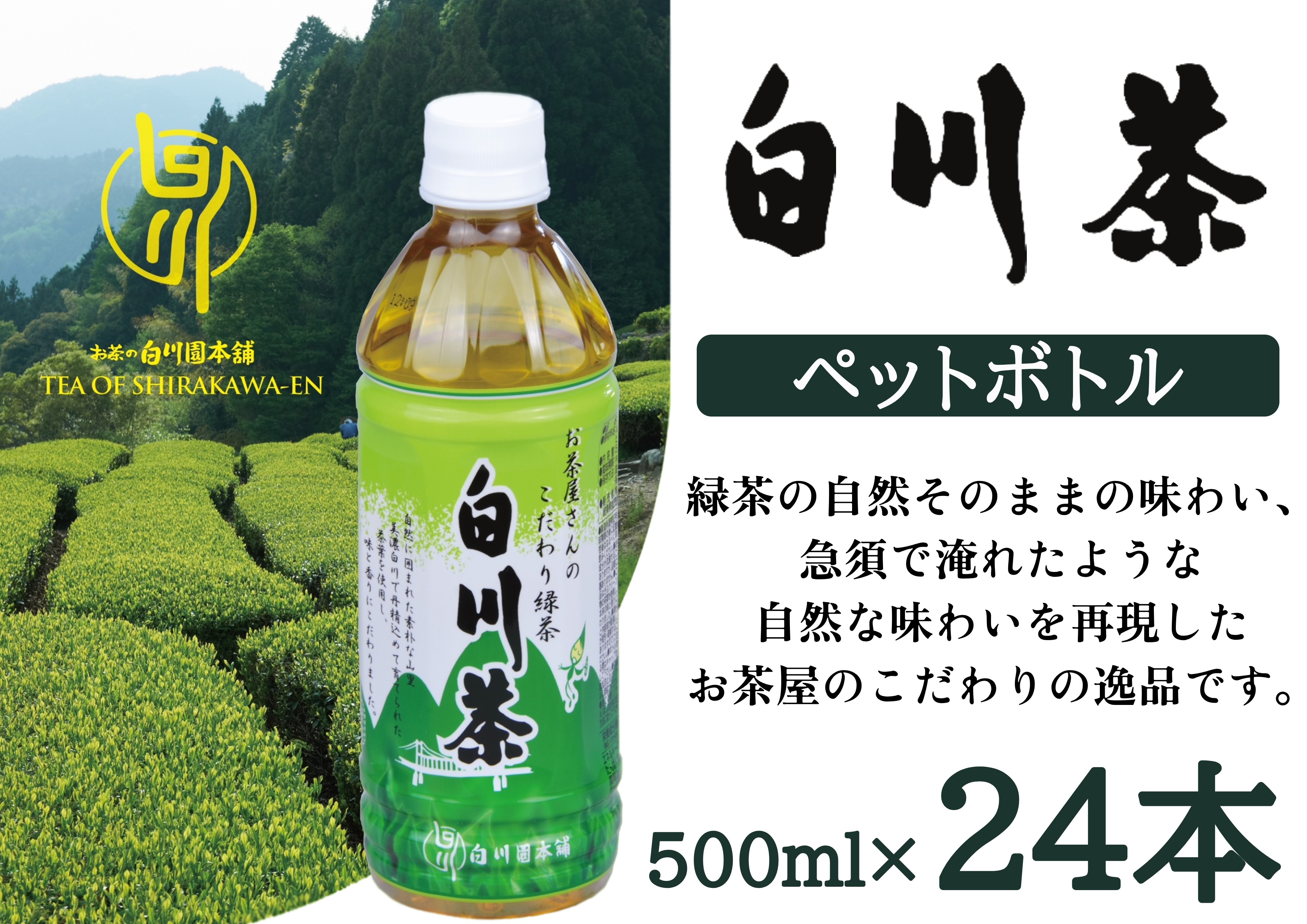 
                  ※白川茶 ペットボトル500ｍl 24本入り ◇ ｜白川茶お茶 白川茶緑茶 白川茶飲料 ペットボトルお茶 ペットボトル緑茶 ペットボトル飲料 500mlお茶 500ml緑茶 500ml飲料 お茶 緑茶 飲料 オチャ りょくちゃ 飲み物  ペット茶 ペットボトル 日本茶 国産茶 煎茶 茶 500ml まとめ買い 箱買い ソフトドリンク 無糖茶 無糖緑茶 Japanese
                