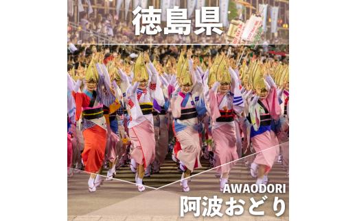なると金時 極干 2袋 干し芋 ほしいも 干しいも お菓子 おやつ さつまいも さつま芋 鳴門金時 国産 徳島県 小分け スイーツ ランキング 人気 常温 常温保存