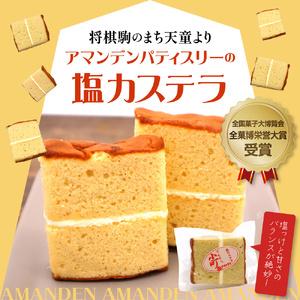 塩カステラ てんどう小町 18個入り スイーツ お菓子 山形県 天童市 07-16-004