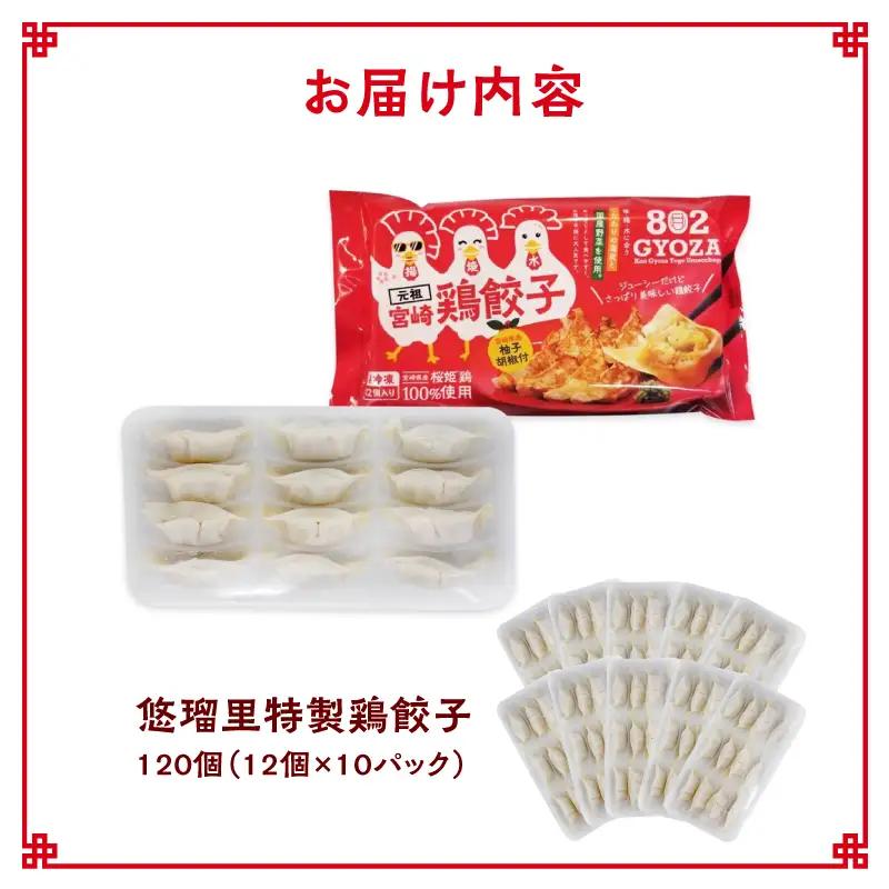 悠瑠里特製鶏餃子120個 餃子 ぎょうざ 惣菜