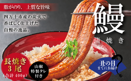【土用の丑の日までにお届け】＜四万十食品＞うなぎ蒲焼　長焼3尾／ＣＤ 鰻 ウナギ うなぎ お取り寄せ グルメ きざみ ギフト 食べ物 食品 おかず 国産鰻 蒲焼 うなぎ蒲焼 ウナギ蒲焼 鰻蒲焼 冷凍 送料無料 国産 高知 高知県 四万十 25-367U