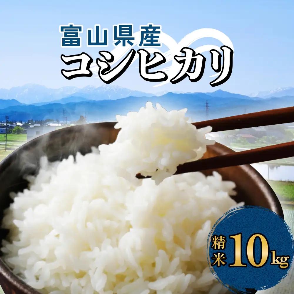 富山県産 コシヒカリ 10kg 精米 
