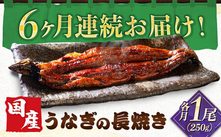 【全6回定期便】　国産うなぎの長焼き 鰻 たれ 肉厚 岐阜市 / 本格炭焼うな吉[ANHH003]