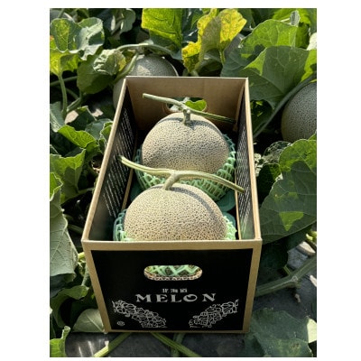【北海道産】赤肉メロン 「くんねっぷメロン」2玉 (1玉あたり1.6kg以上)〈農家直送〉【配送不可地域：離島・沖縄県】