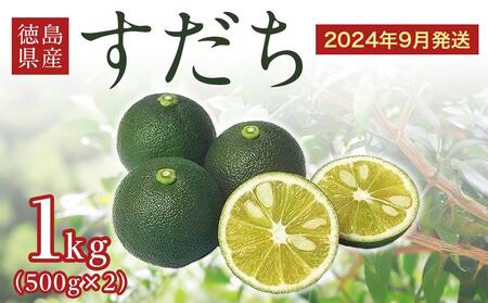 すだち 1kg 徳島県産 2025年9月から発送 ｜ 柑橘 果汁 皮 しぼり 絞り 汁 旬 みかん かぼす レシピ そうめん うどん そば パスタ 豚 肉 焼き 魚 ぶり さんま 輪 切り 保存 楽 ちん デザート シロップ 酢 サワー ゼリー 栄養 サプリ ビタミン C 美容 人気 名産 JA 徳島 とくしま 神山