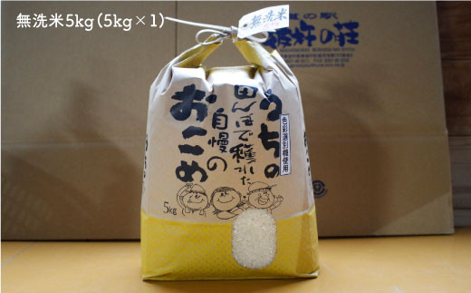 無洗米5kg お米 米 ふっくら ツヤツヤ 甘い 国産 5kg 無洗米  長崎県産 人気 ごはん 東彼杵町/彼杵の荘 [BAU056]