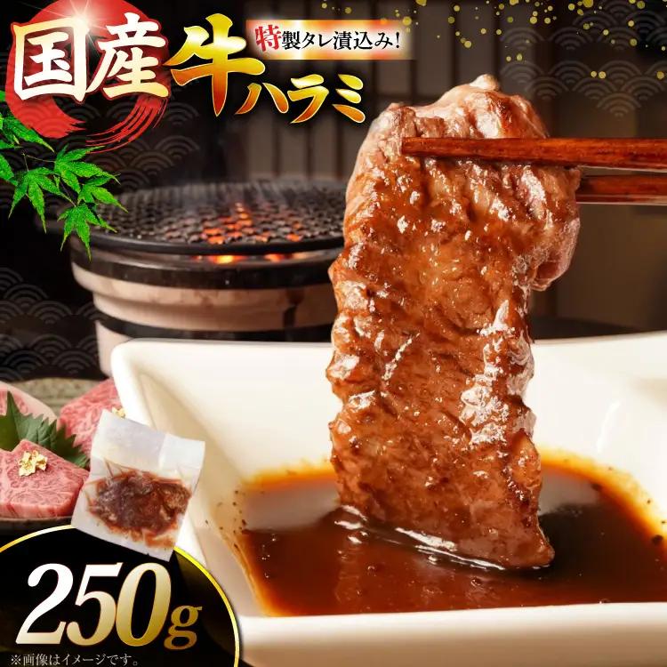 ハラミ 牛肉 焼肉 国産 特製 たれ漬 サガリ 250g ハラミ [um40azp100002]