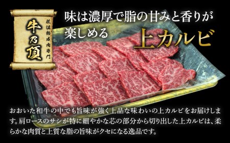 おおいた和牛 焼肉 上カルビ 250g | 焼肉 津久見市