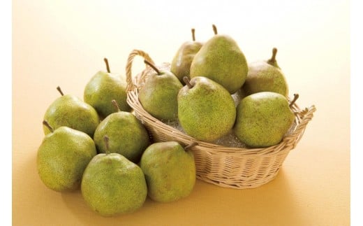 2026年発送「果実の女王」ラ・フランス★　小玉 約５kg（24～28玉）