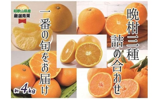 おすすめフレッシュ柑橘３種詰合せ(約4kg) 【2026年2月中旬～2026年3月中旬発送】