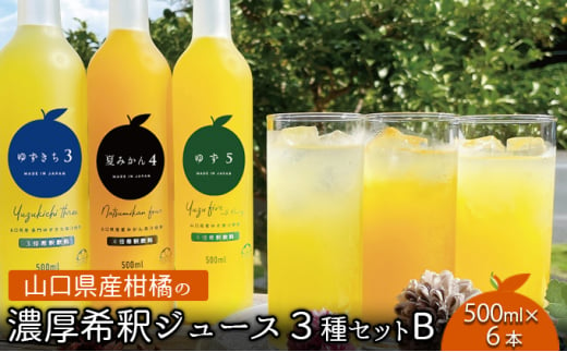 [№5226-0825] 柑橘 ジュース 濃厚希釈 山口県産 3種セットB 500ml×6本 セット ギフト