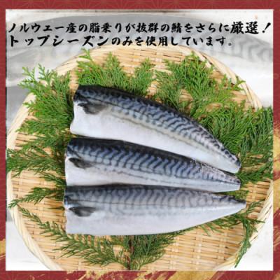 ふるさと納税 銚子市 無塩さば　約5kg |  | 02