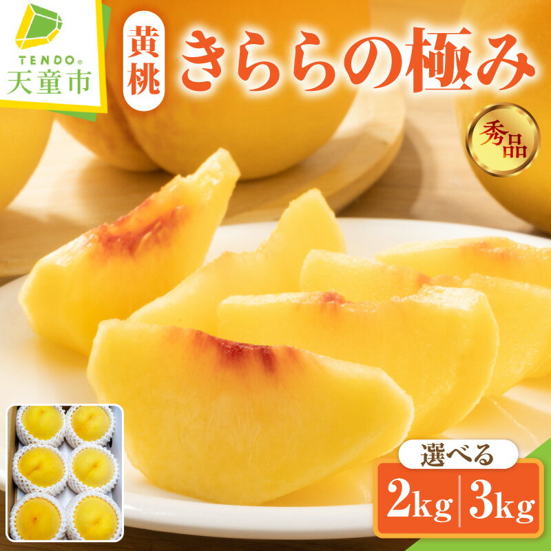 【ふるさと納税】もも ( きららの極み ) 選べる 2kg / 3kg 先行予約 令和8年産 2026年産 黄桃 桃 ピーチ peach 果物 くだもの フルーツ デザート 旬 冷蔵 ご家庭用 のし 贈答 ギフト プレゼント お取り寄せグルメ 産地直送 送料無料 【 山形県 天童市 】