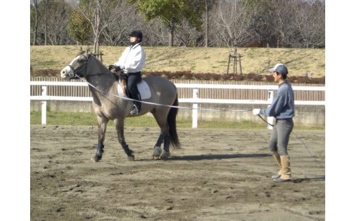 ネーブルパーク 施設利用券 15,000円分（500円×30枚） ※着日指定可 | 利用券 公園 テーマパーク ポニー 工芸 パン キャンプ 宿泊 BBQ バーベキュー 地下迷路 迷路 自然 花 贈答
