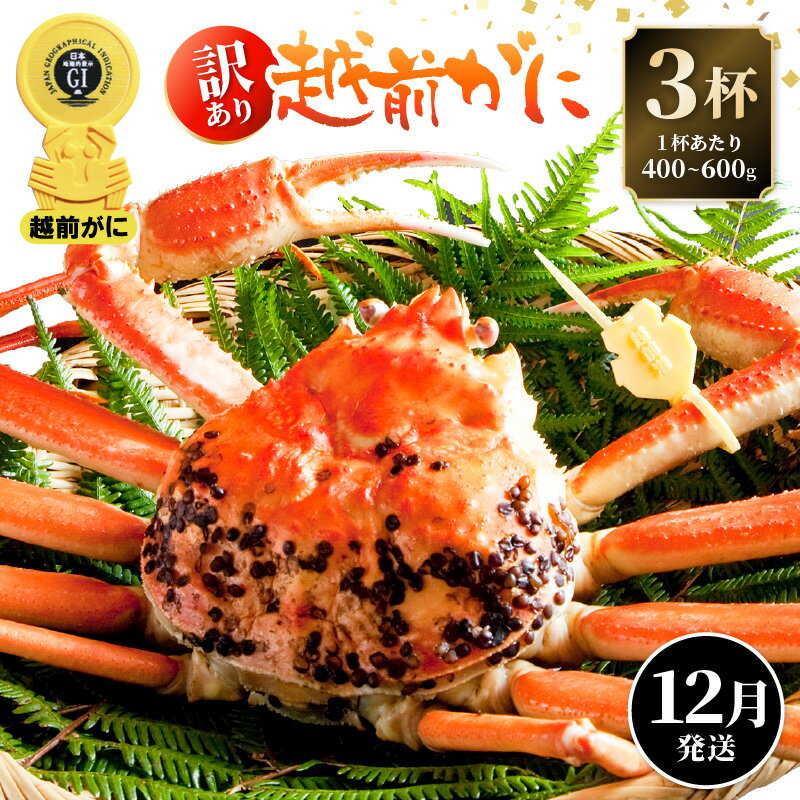 【ふるさと納税】【訳あり】≪浜茹で≫越前がに 3杯（生で1杯400〜600g）食べ方しおり付【規格外 雄 ズワイガニ かに カニ 蟹 越前ガニ 姿 ボイル 冷蔵 福井県】【12月発送分】希望日指定可 備考欄に希望日をご記入ください [e14-x021_12]