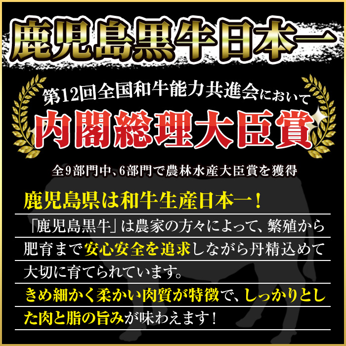 No.347 ＜肉質等級5等級＞(E-301)鹿児島黒牛サーロインステーキ2枚・すきやきセット(計1kg)国産 牛肉 黒毛 和牛 スライス リブロース 肩ロース カタ しゃぶしゃぶ【さつま日置農協】