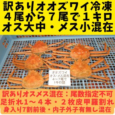 ふるさと納税 白老町 訳あり オオズワイガニオスメス混在　浜ゆで 4-7尾で1kg