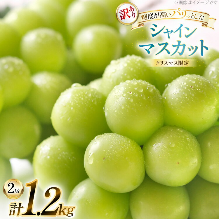 【ふるさと納税】【クリスマスまでの限定発送】 シャインマスカット 訳あり 2房 1.2kg [tk06ayt230000 山形県 高畠町 田制農園] ぶどう ブドウ 葡萄 マスカット フルーツ 果物 くだもの 産地直送 農家直送