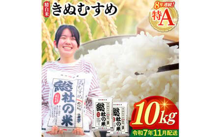 【令和7年産】特Aきぬむすめ【精白米】10kg 岡山県総社市〔令和7年11月配送〕25-020-005