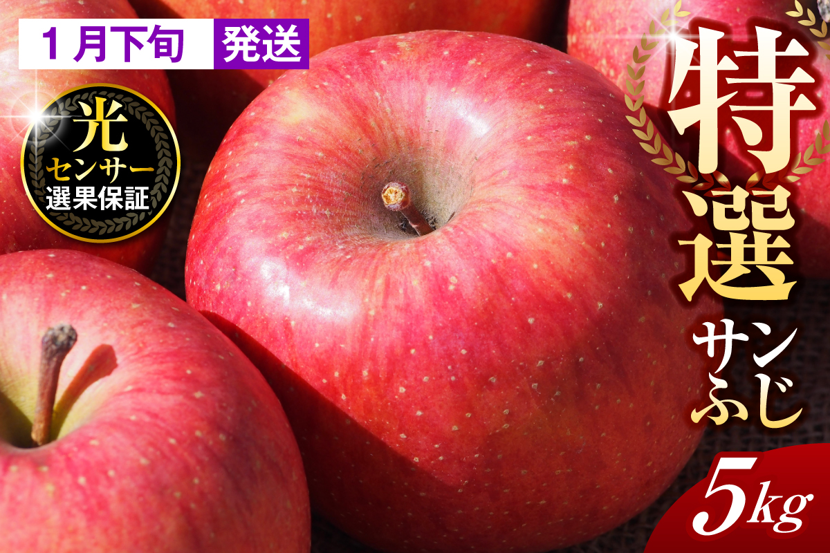 【2026年1月下旬発送】【特選】りんご 約5kg サンふじ 青森 五所川原