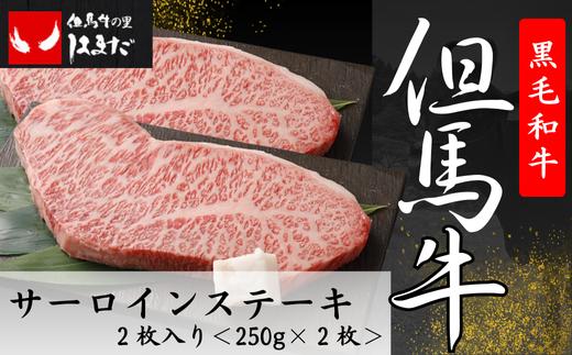 
但馬牛サーロインステーキ2枚入り＜250g×2＞【1098414】
