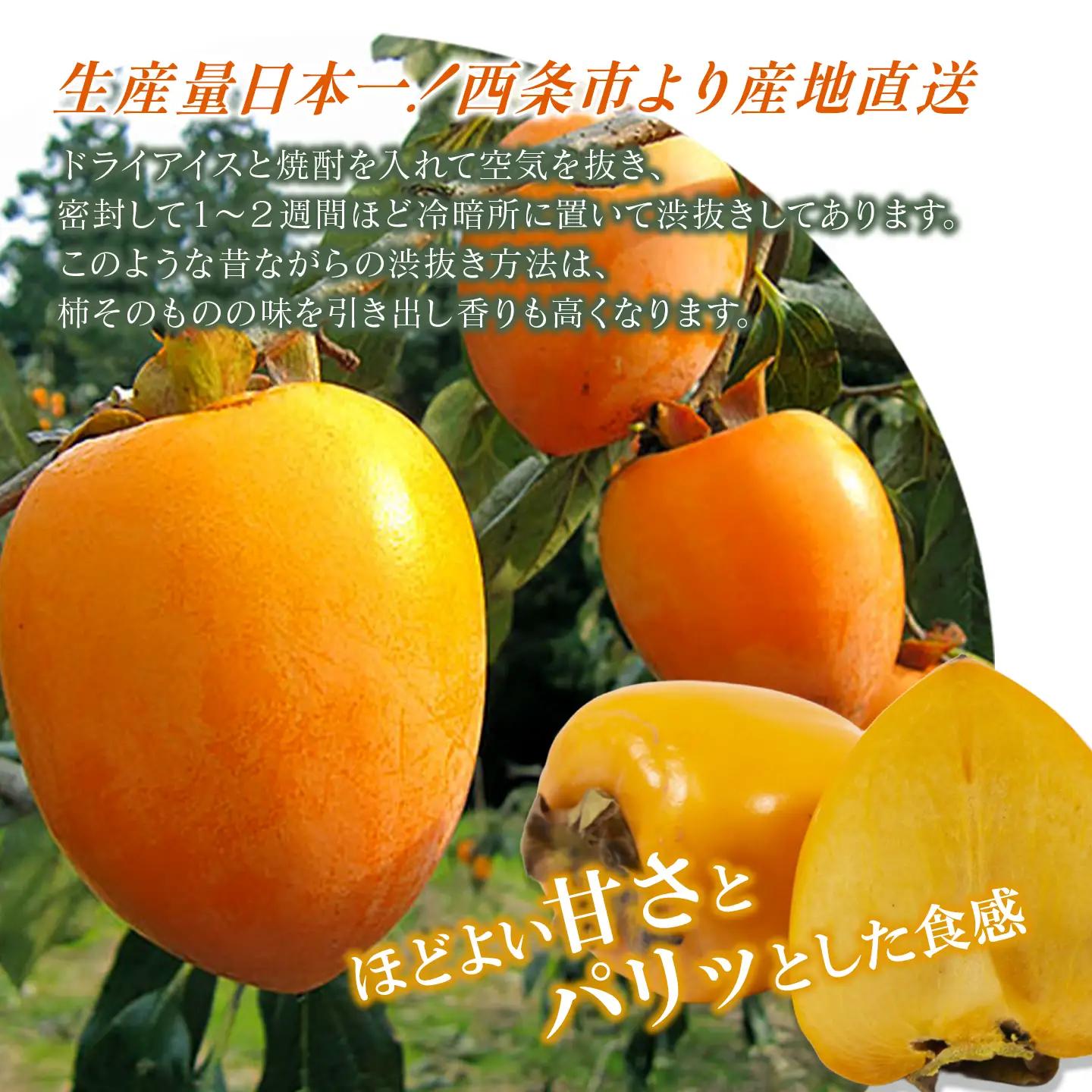 【12月発送】愛媛県西条産 「あたご柿」渋抜き柿 特撰4Lサイズ×10玉入