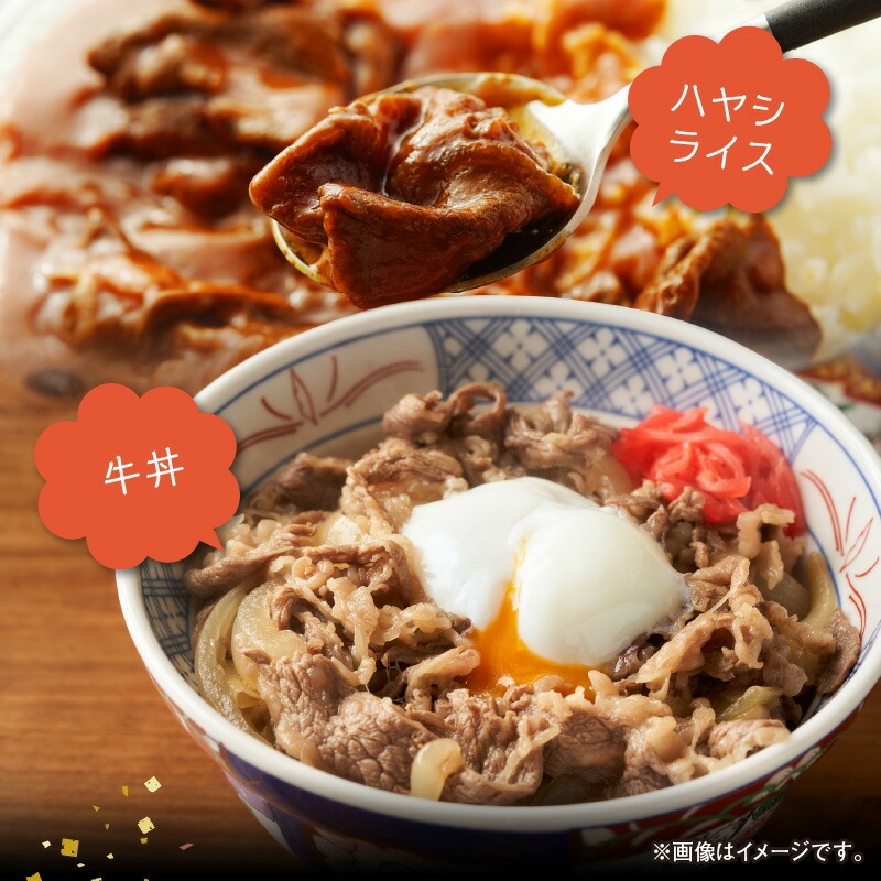 宮崎牛切り落とし1kg N0140-YA5507