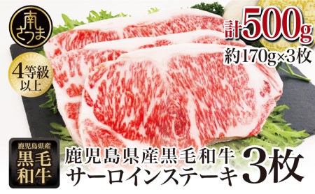 【鹿児島県産】黒毛和牛 サーロインステーキ 約500g （約170g×3枚） 4等級以上 牛肉 サーロイン BBQ 焼肉 和牛 スターゼン