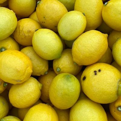 ふるさと納税 湯浅町 和歌山産　レモン　5kg　【訳あり】 |  | 01